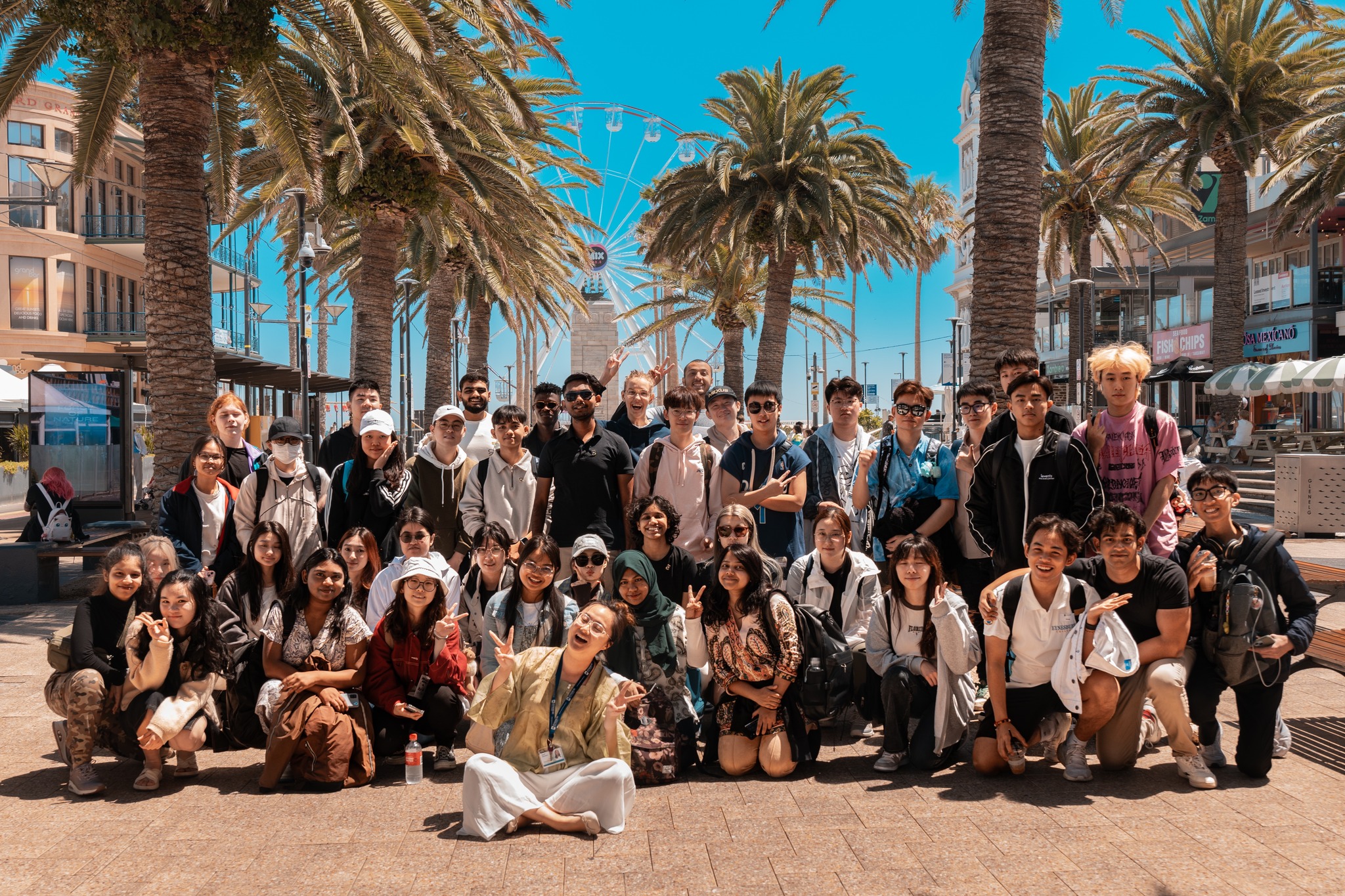 School media preview